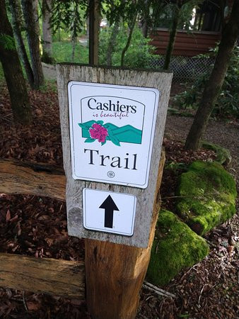 The Wells Cashiers主图