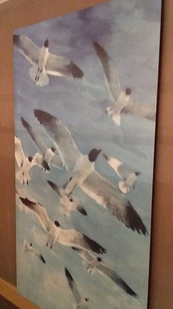 Dedeman Bostanci Istanbul Hotel & Convention Center主图