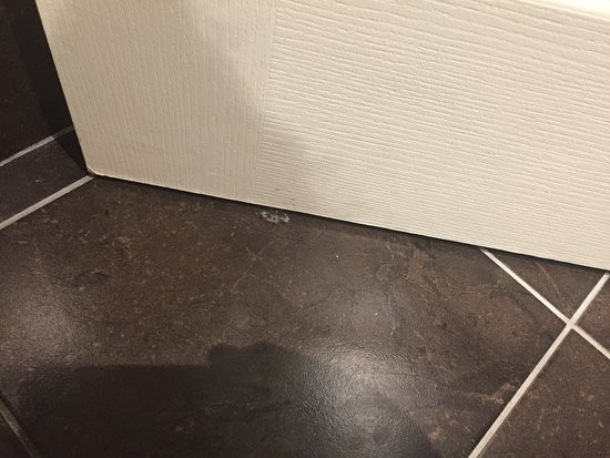 Glenwood Inn & Suites主图