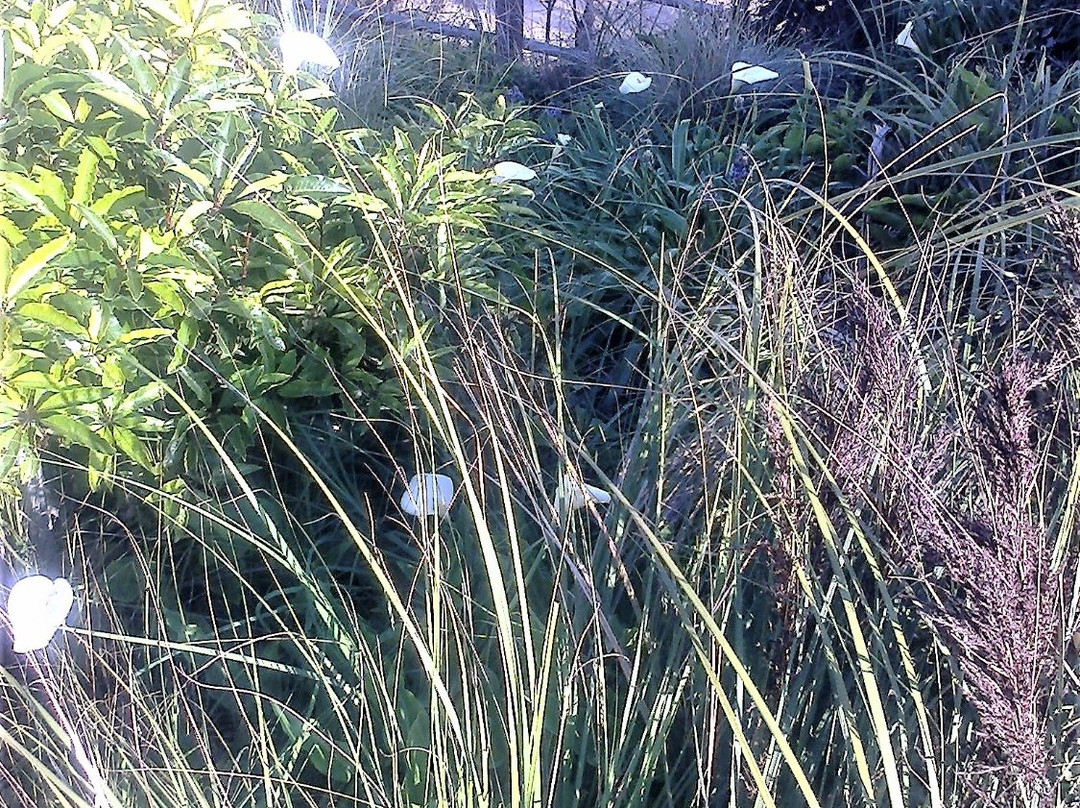 The Splitters Grave-洛恩必去景点