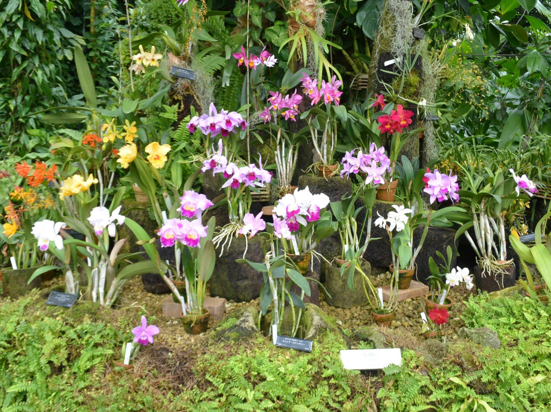 花开植物馆-大阪市必去景点
