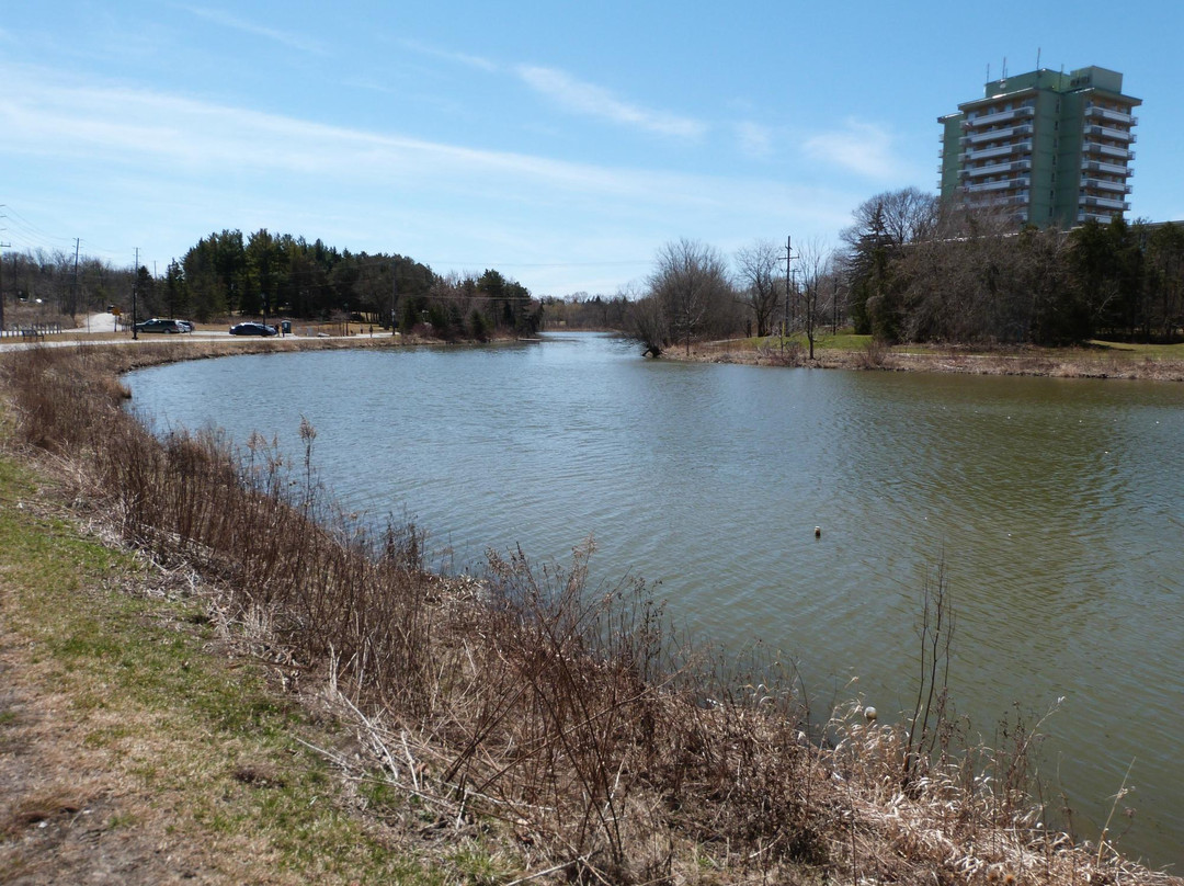 Fairy Lake Park-Newmarket必去景点