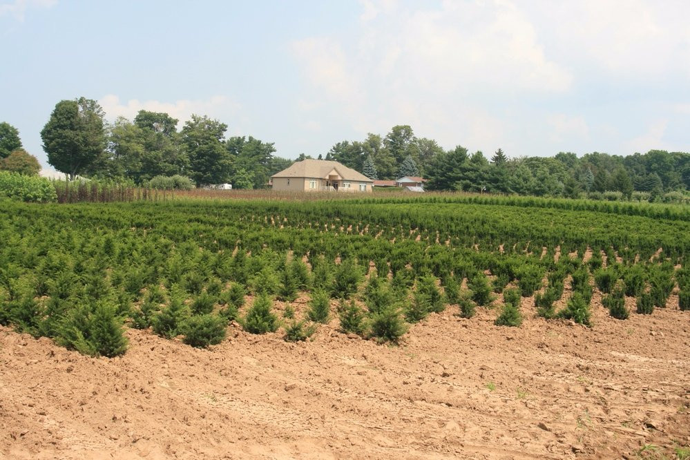 Pelham旅游攻略图片