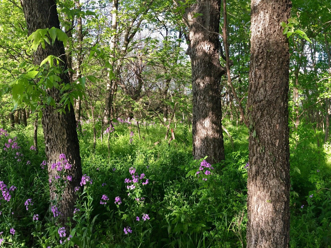 Derby旅游攻略图片
