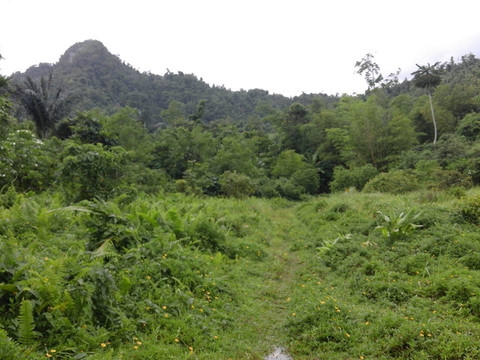 Dumalag旅游攻略图片