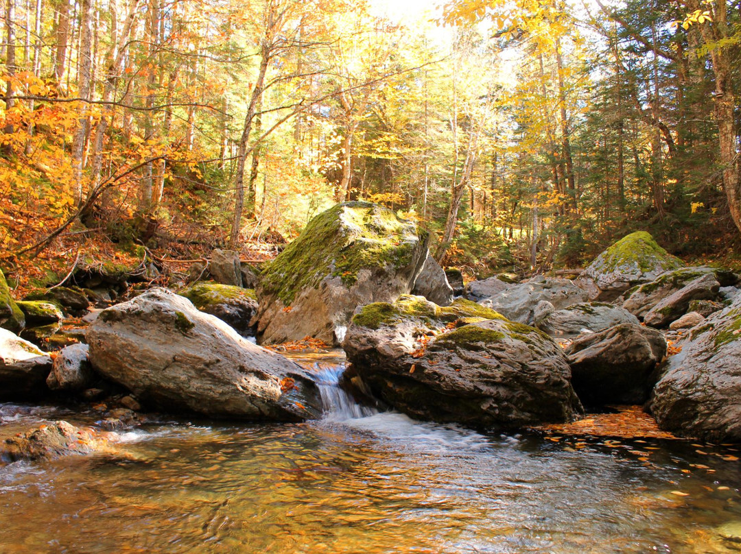 Saint-Philemon旅游攻略图片