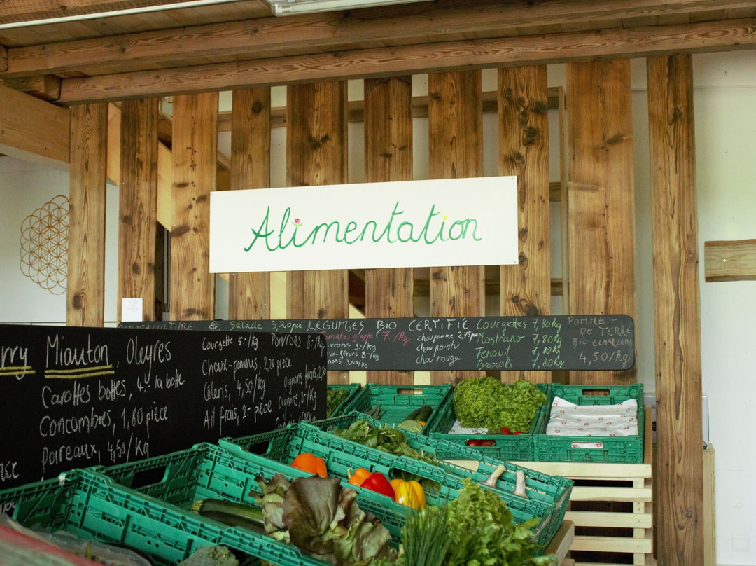 Farvagny旅游攻略图片