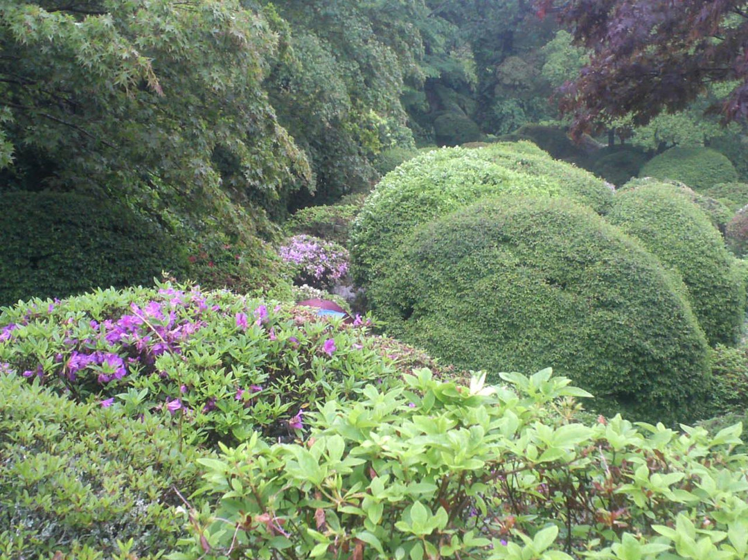 Hakone Kowakien Horai Garden景点图片