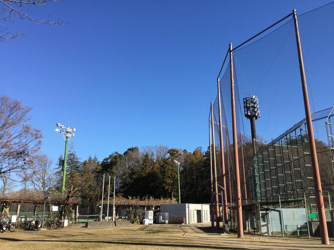 Nagareyama City Sports Park景点图片