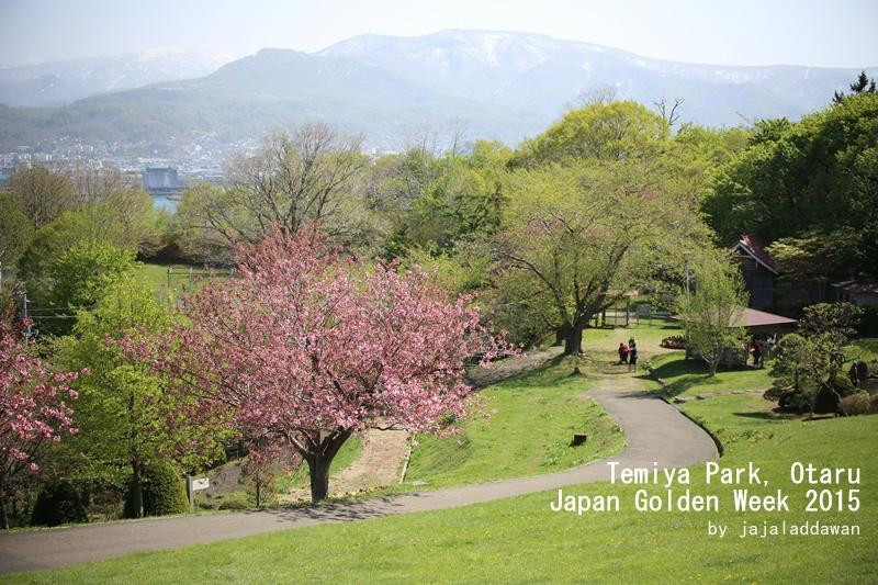 Temiya Park景点图片