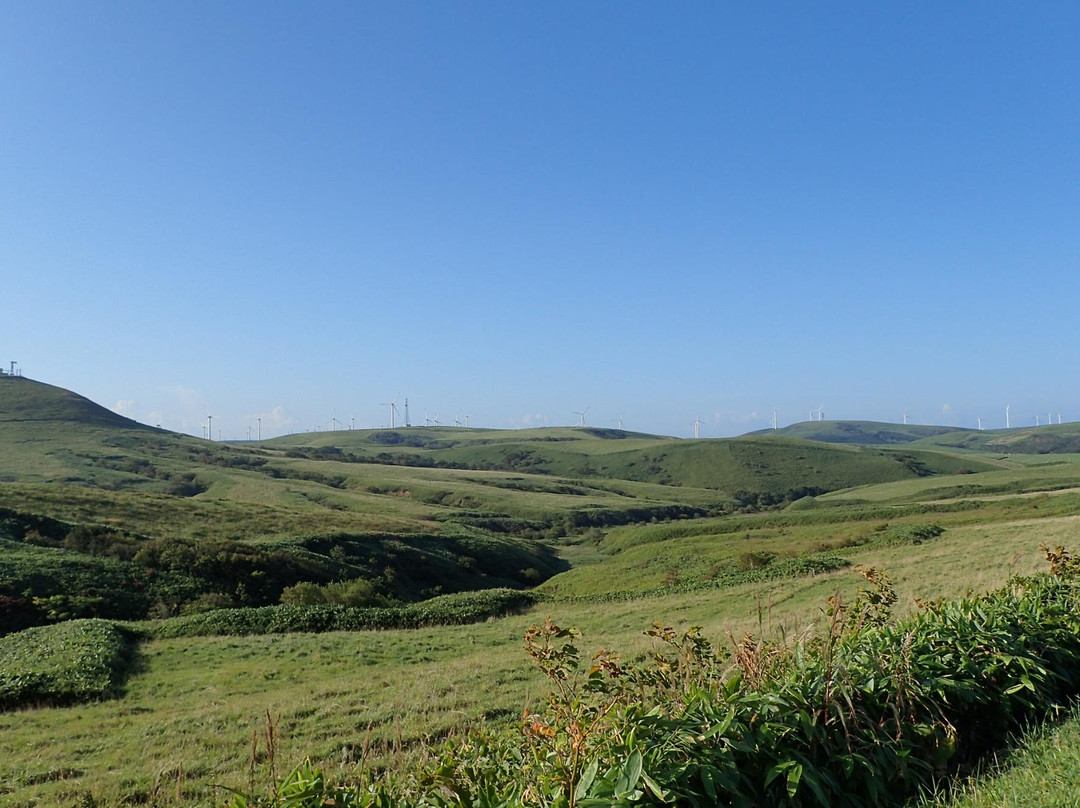 Soya Hill Periglacial Landforms-稚内市必去景点