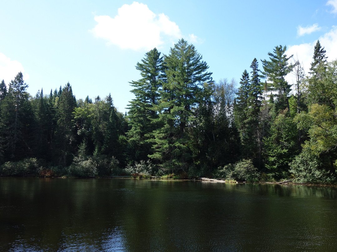 Tea Lake Dam Picnic Area景点图片