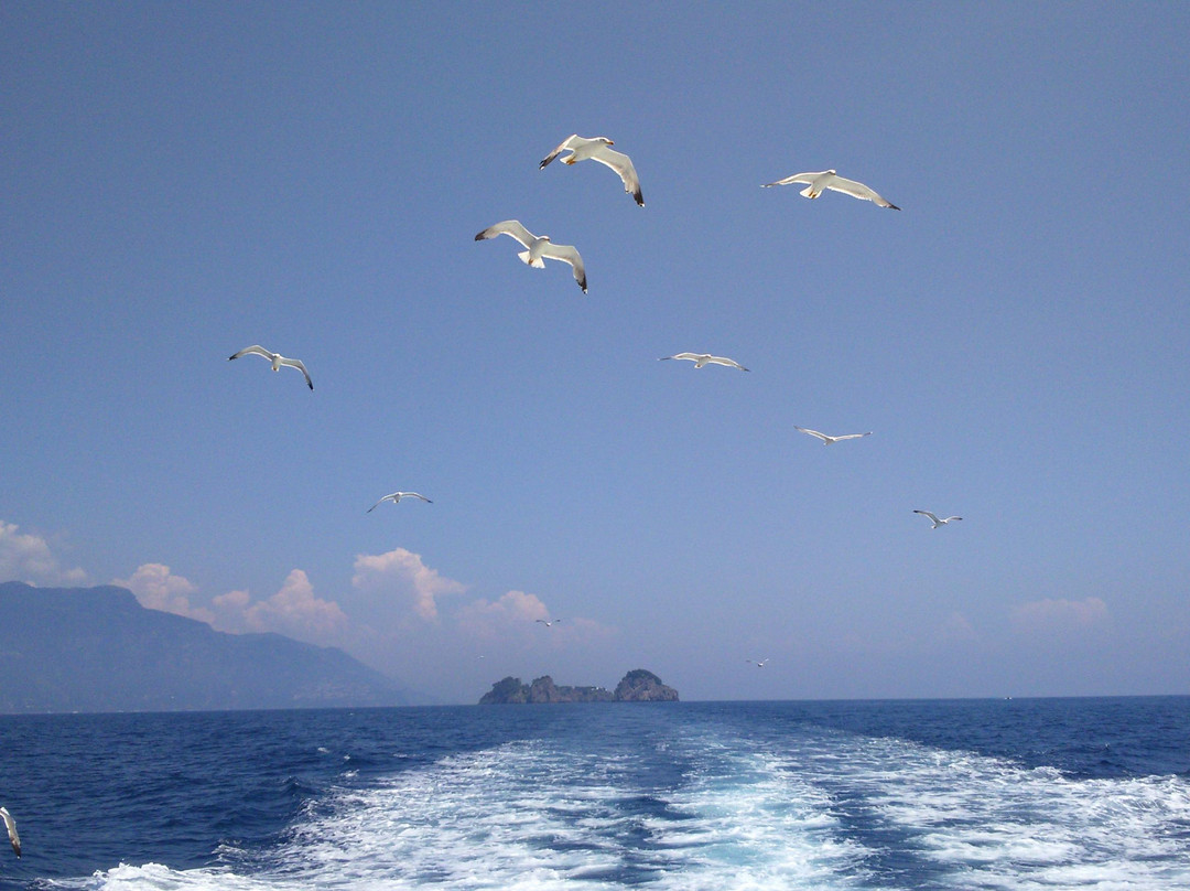 Pesca Turismo & Fun-马萨卢布伦塞必去景点
