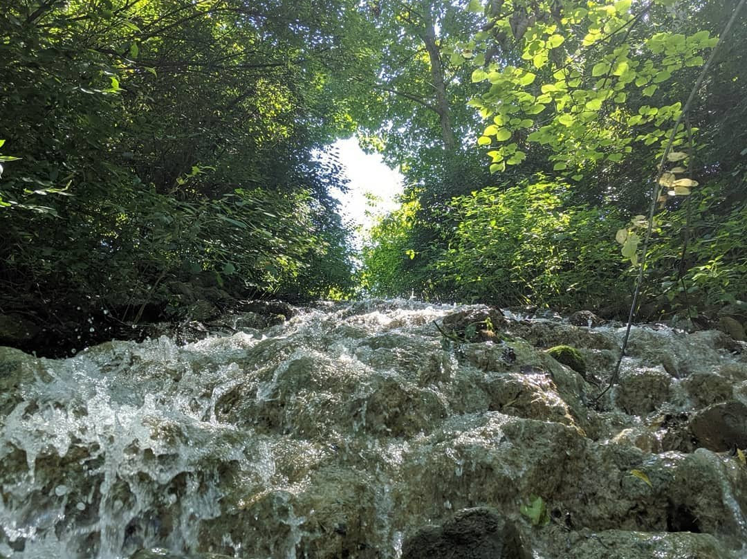 Little Miami Canoe Rental