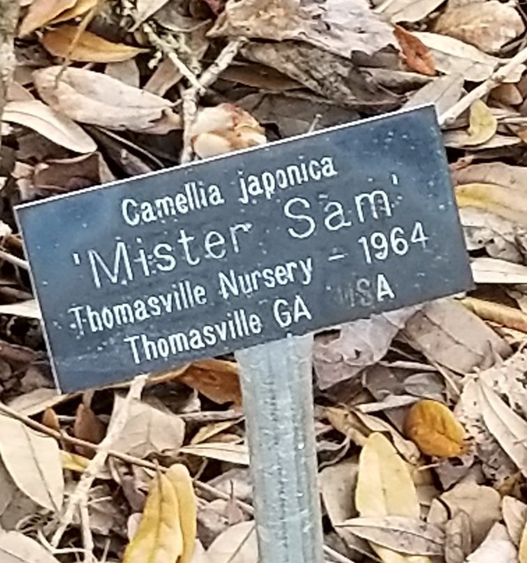 LeConte-Woodmanston Plantation and Botanical Gardens-Riceboro必去景点