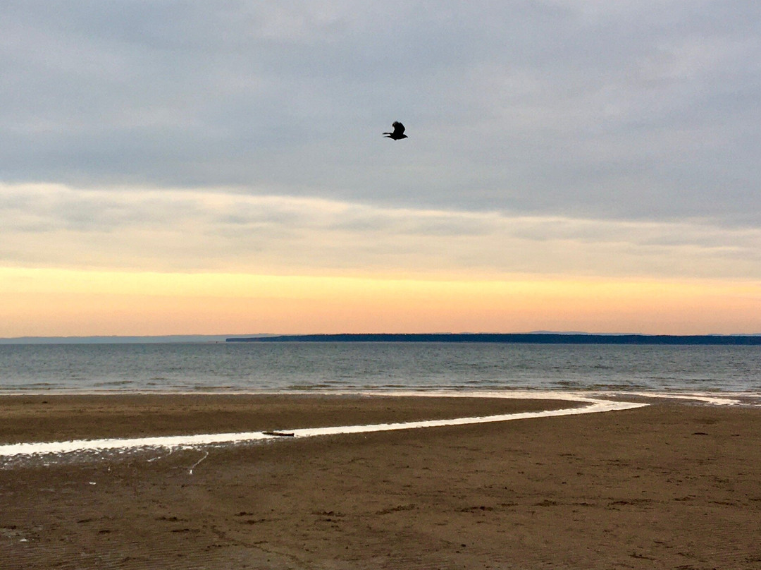 Monifieth Beach-Monifieth必去景点