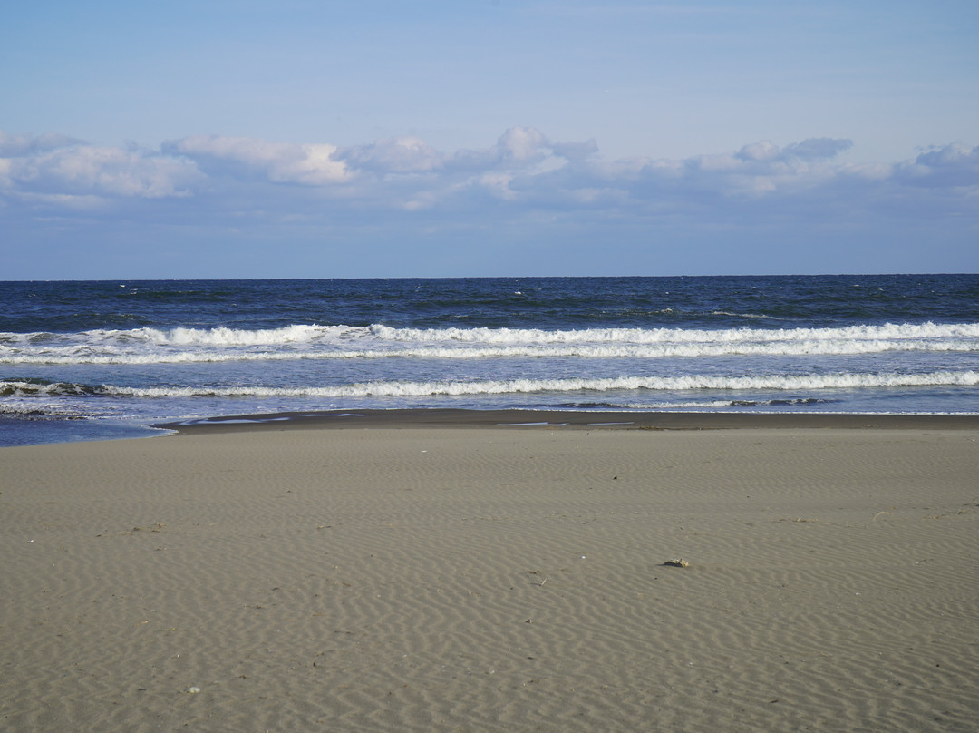 Shirasato Central Beach景点图片