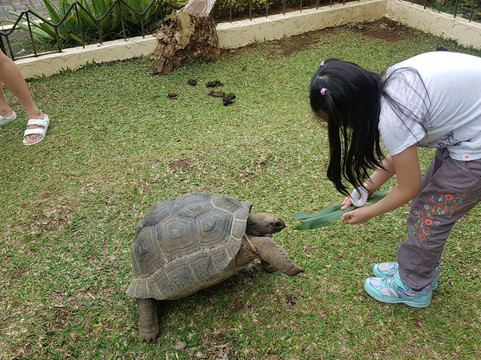 Yoki's Farm-大雅台必去景点