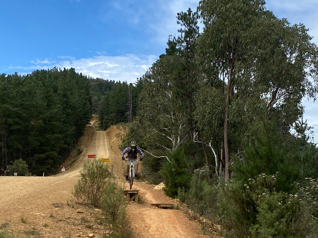 Mystic Mountain Bike Park景点图片