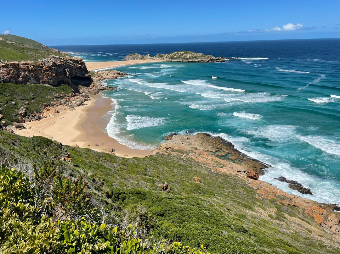 Harkerville Saturday Village Market-普利登堡湾必去景点