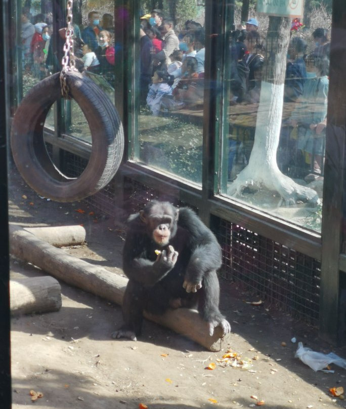 济南动物园-济南市必去景点