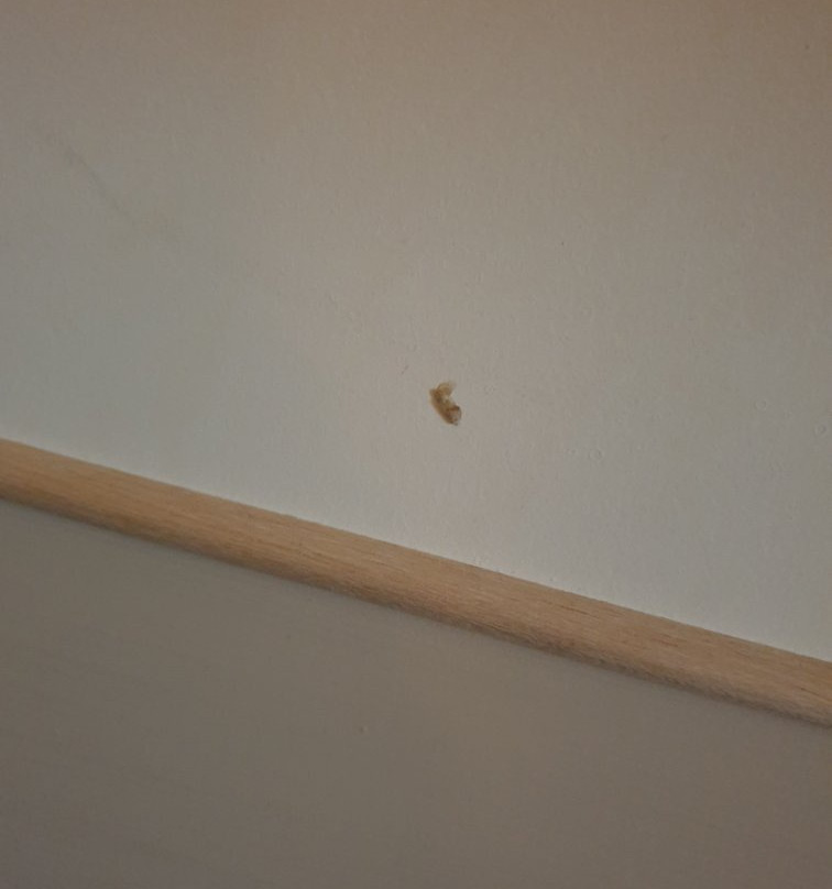 Hotel 325 Tor Vergata主图