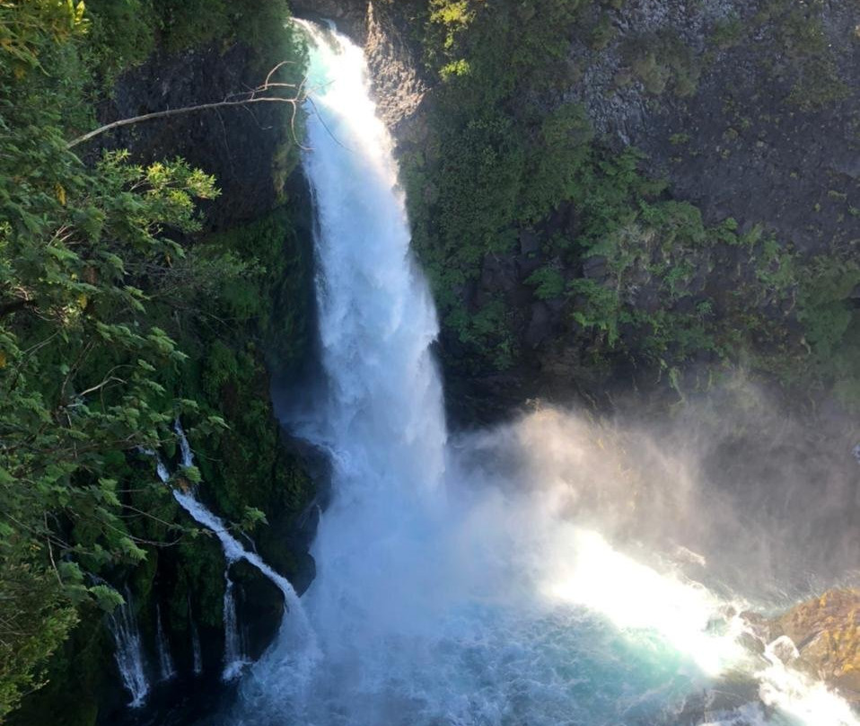 Parque Neltume - Salto Huilo Huilo-耐尔杜美必去景点