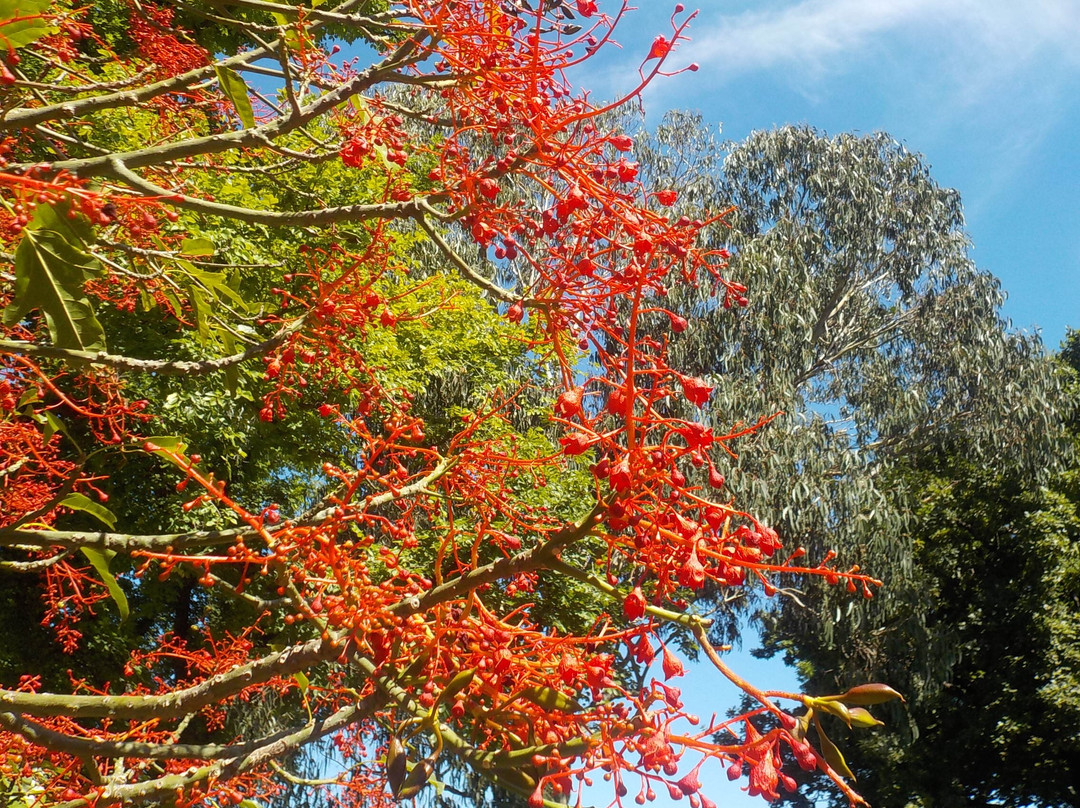 Brunswick Park景点图片