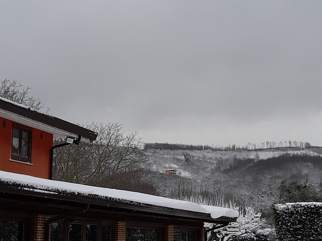Agriturismo Ricciardelli主图