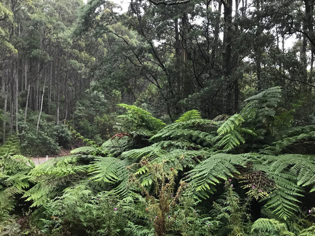 York Town Historic Site-Beauty Point必去景点