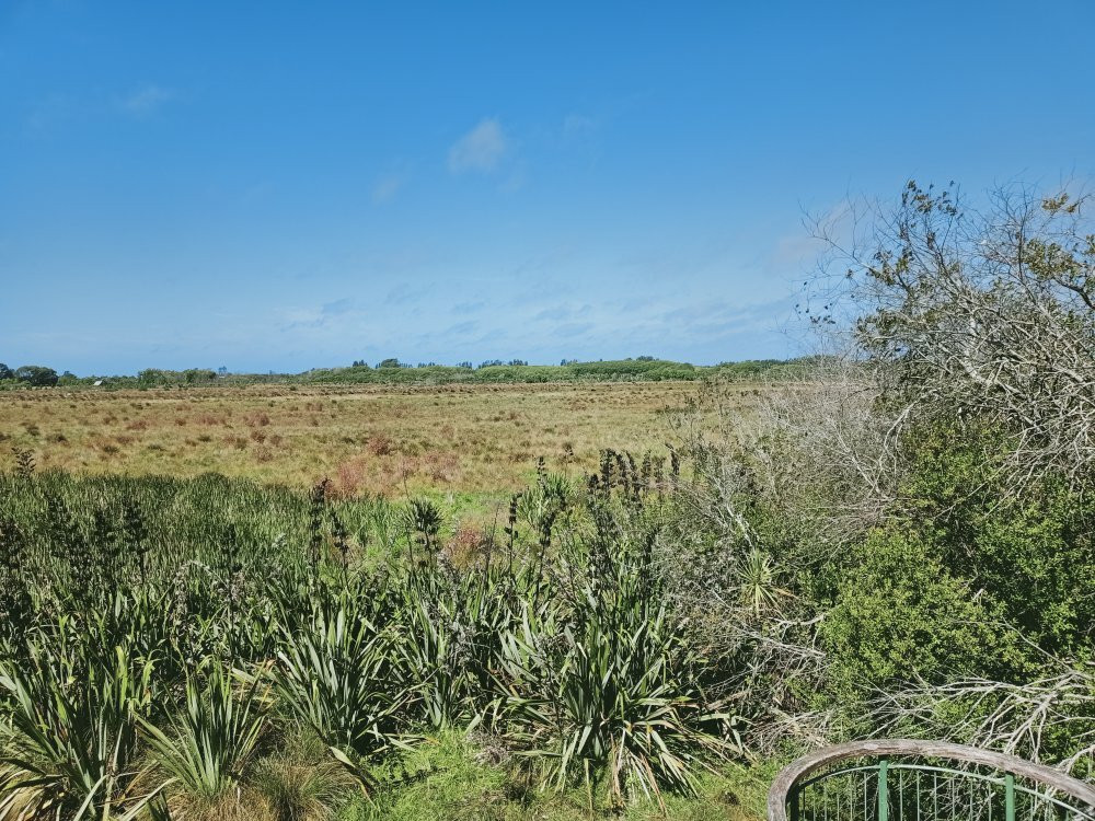 Travis Wetland-基督城必去景点
