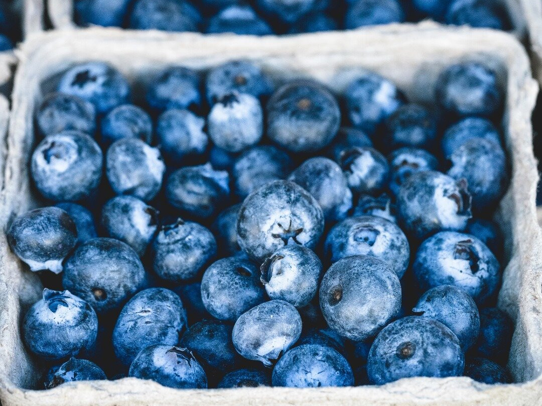 Cavallo Farm & Market-Lecanto必去景点