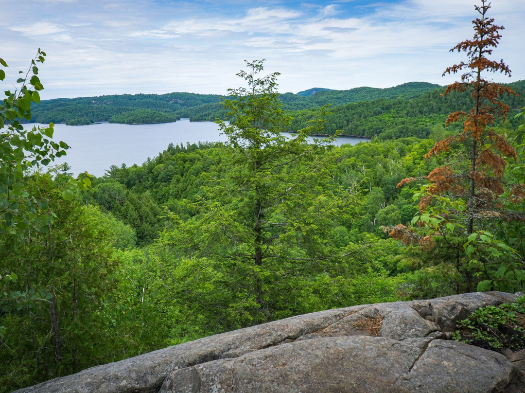 Parc régional du Poisson Blanc-Notre-Dame-du-Laus必去景点