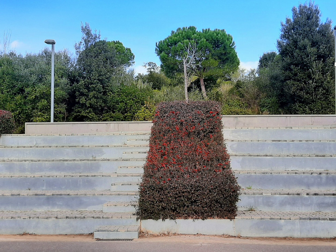 Parc De La Llacuna景点图片