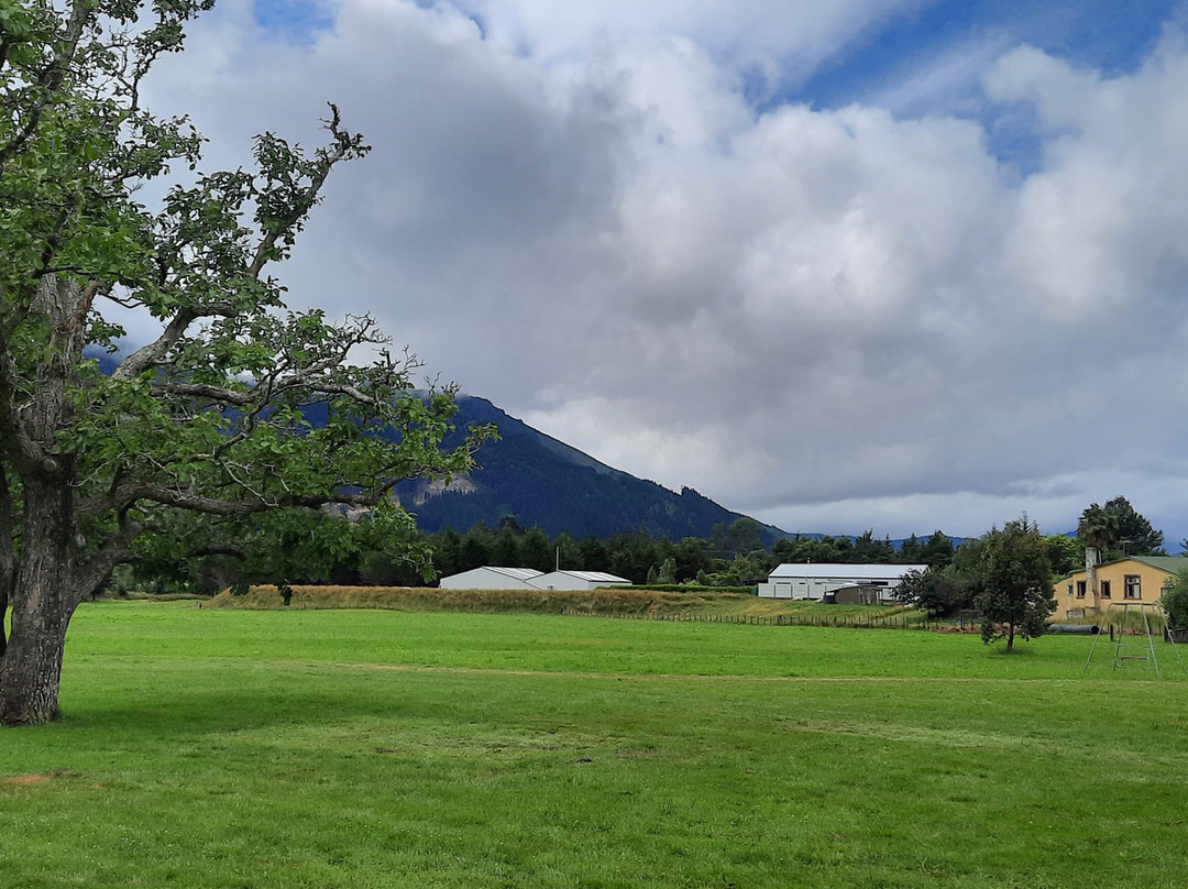 Waves Campsite主图