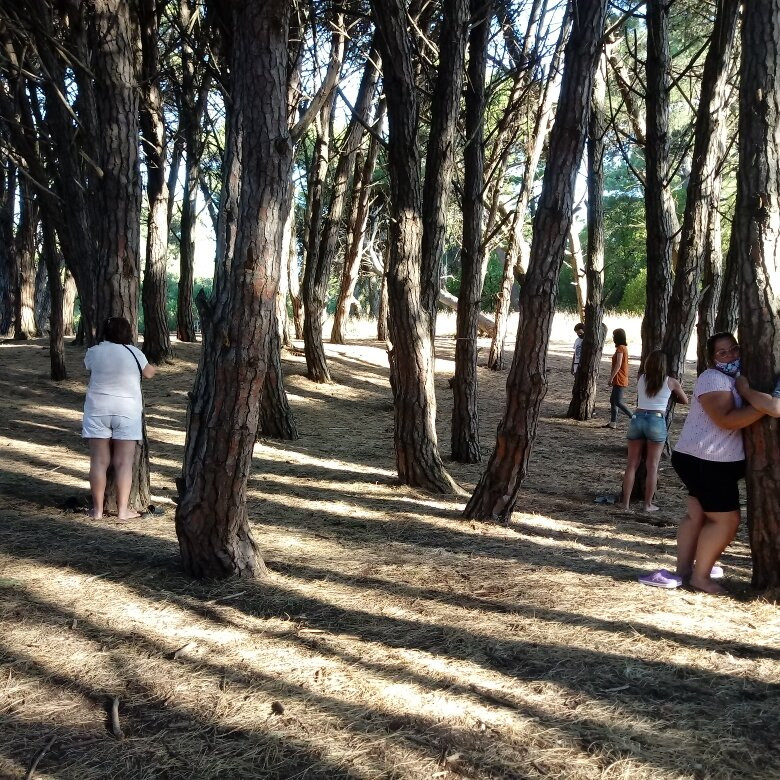 Bosque Energético景点图片