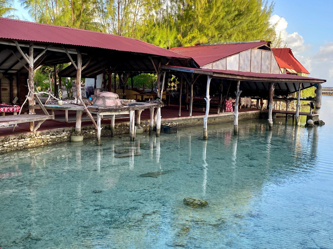 Motu Aito Paradise主图