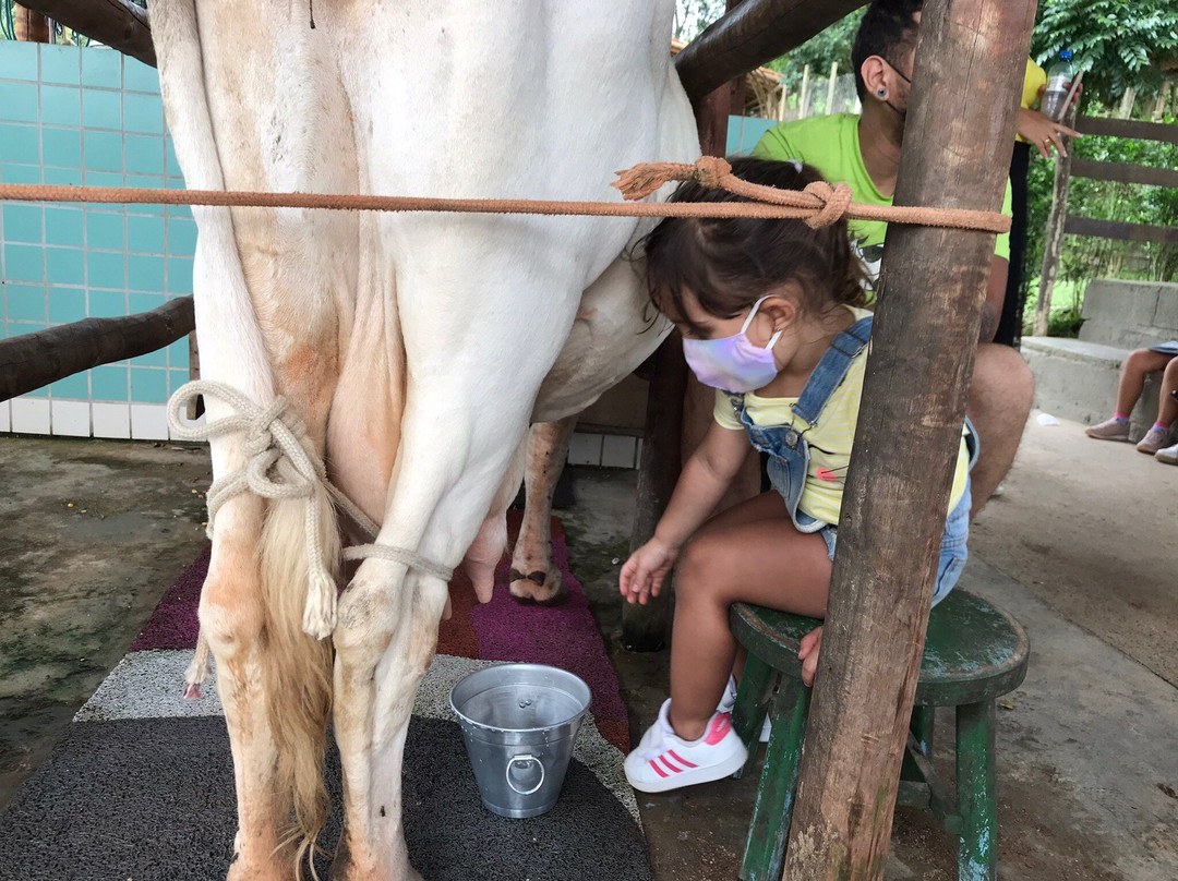 Bicho Mania-Cotia必去景点