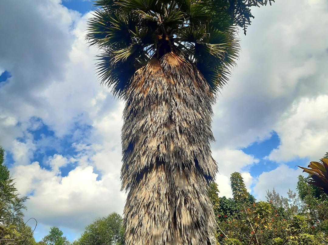 Isange Paradise Resort主图