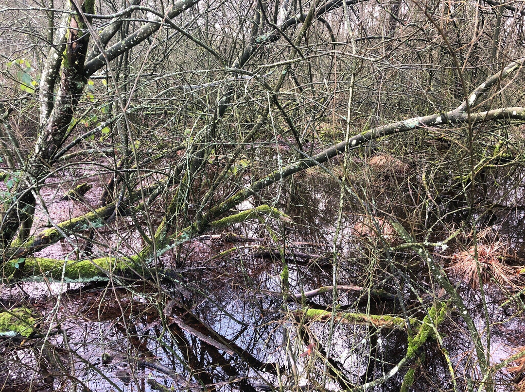 Markdal-Strijbeek必去景点