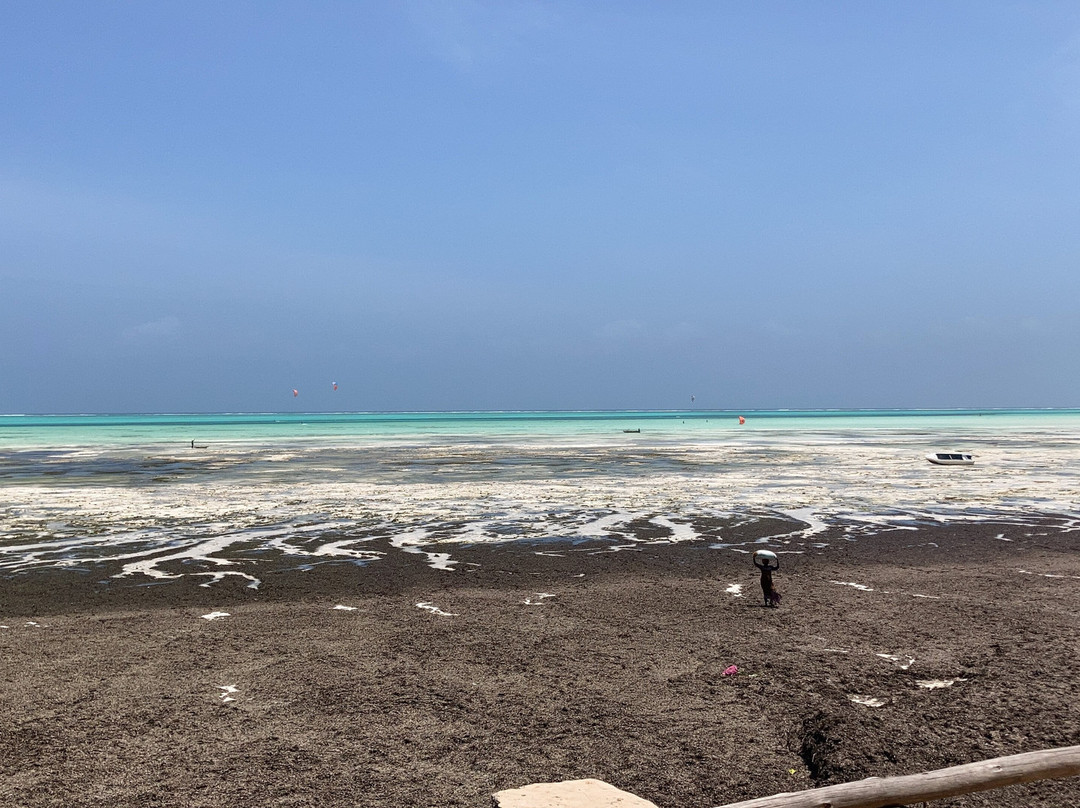 Mawimbi Kite School-江比阿尼必去景点