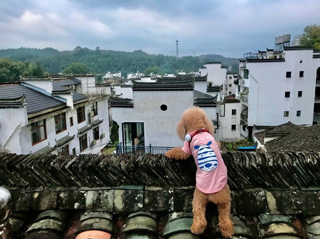 理坑-婺源县必去景点