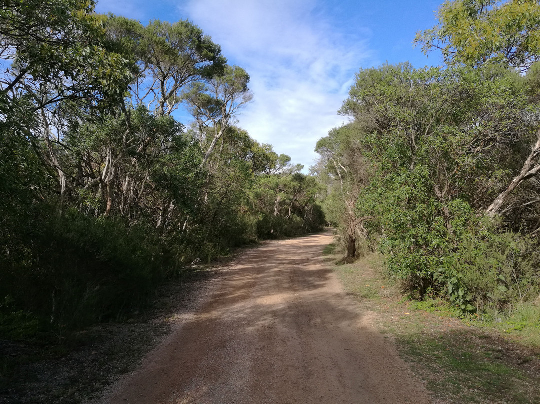 Fraser Island Retreat Lakes Entrance主图