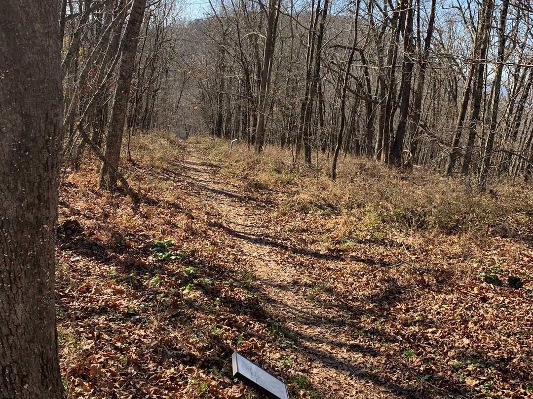 Dan Ingalls Overlook-Warm Springs必去景点