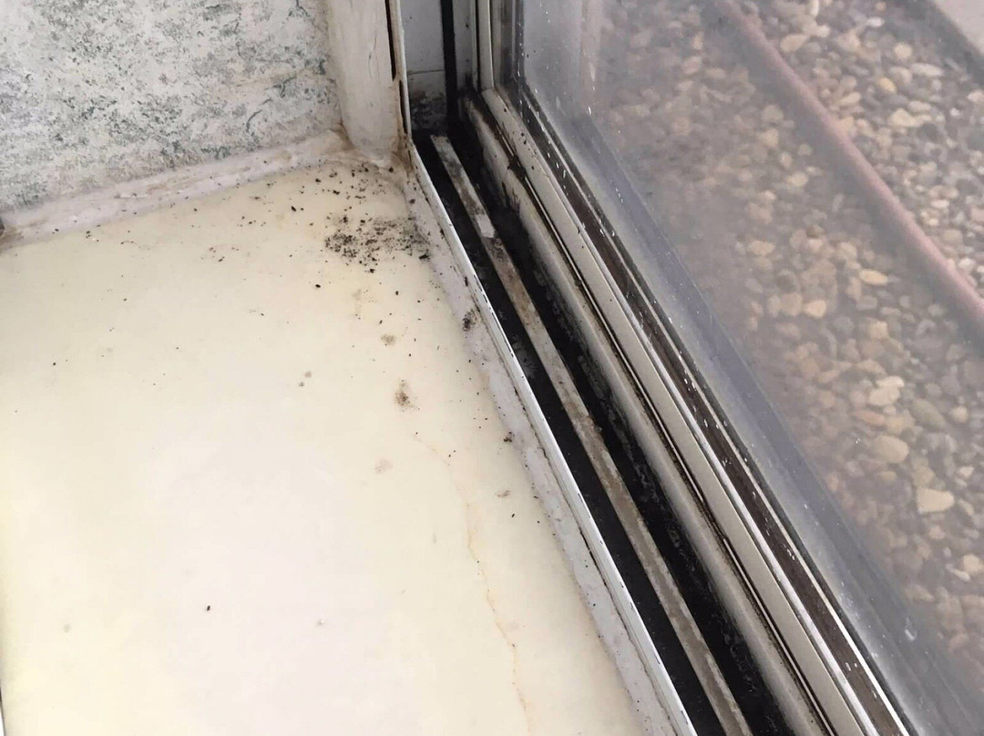 Days Inn by Wyndham Vega TX主图