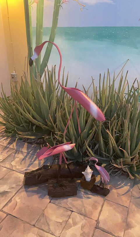 Aruflamingo Art-San Nicolas必去景点