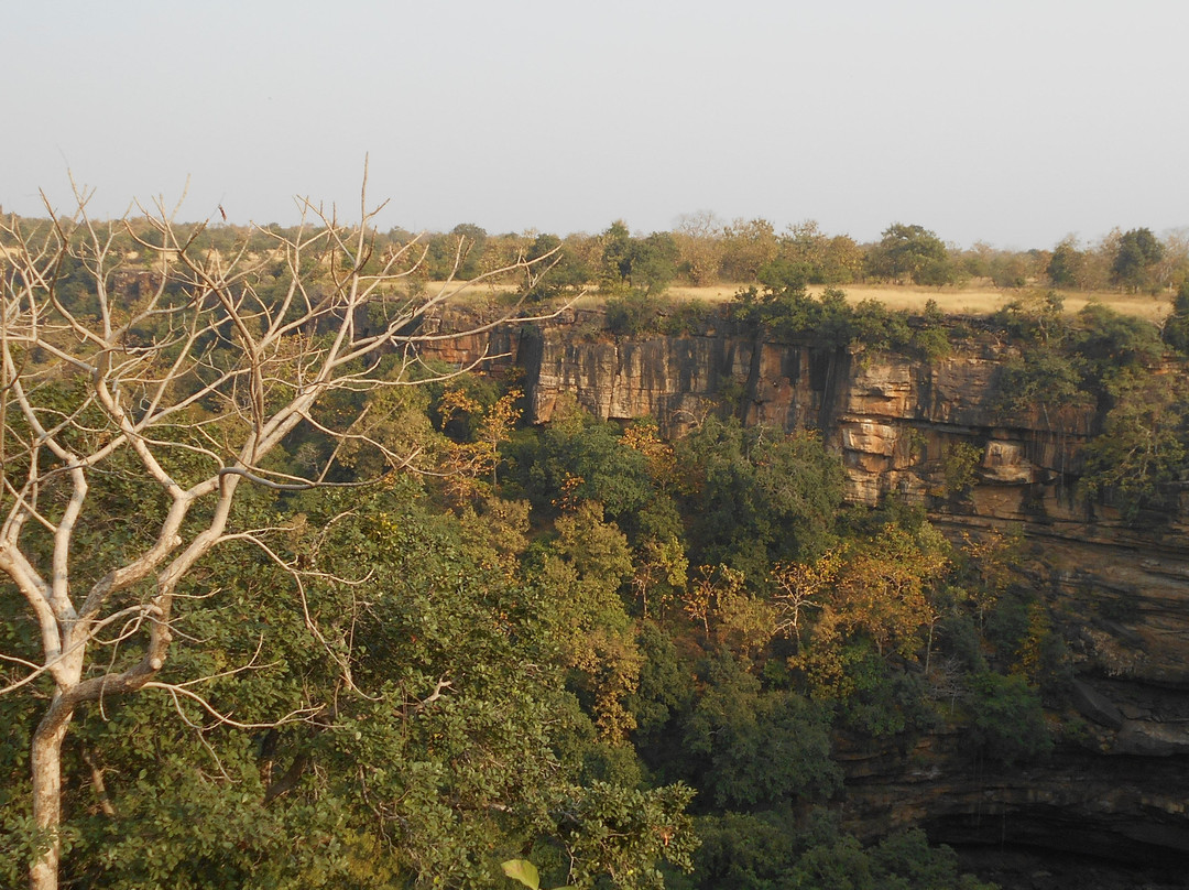 Panna Tiger Reserve景点图片