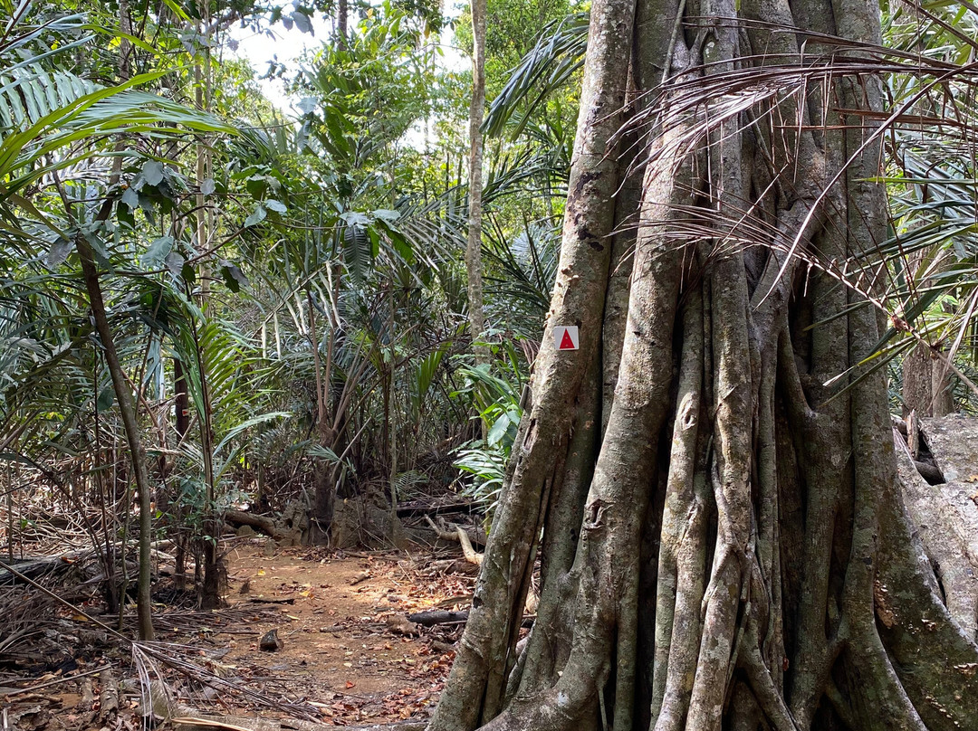 West White Beach-圣诞岛必去景点