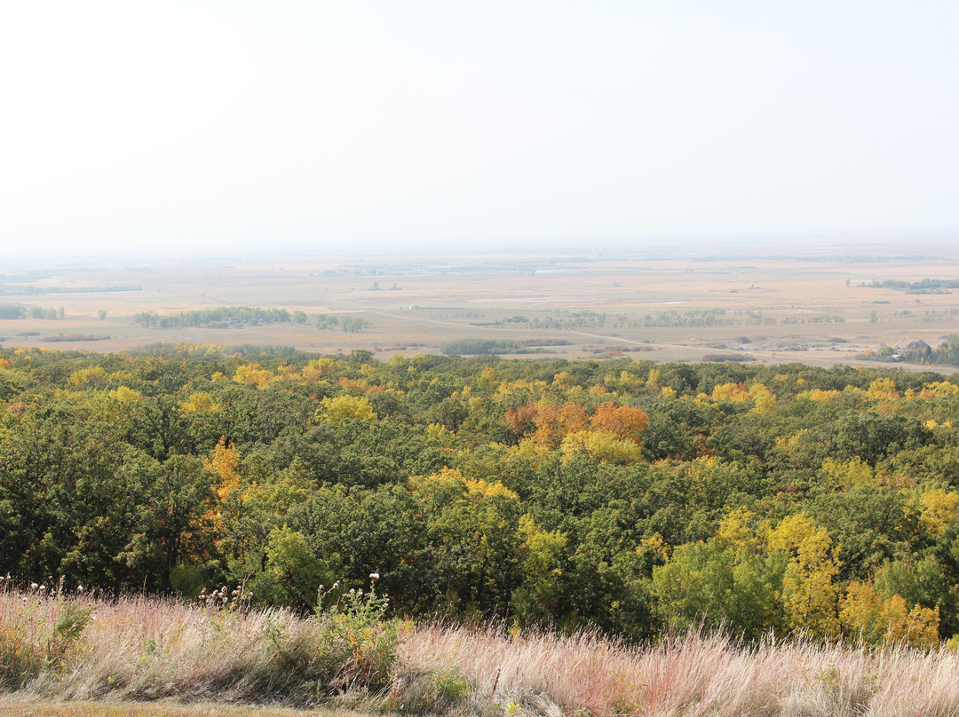 Mystical Horizons-Bottineau必去景点