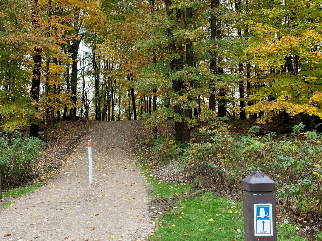 Gully Brook Park景点图片